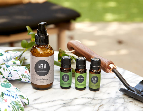  Sun Essentials Oils Essential Oils Set of Lavender, Peppermint,  and Tea Tree : Health & Household