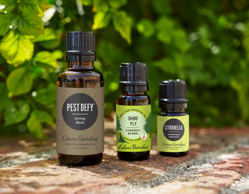 Essential oils for insect repellent