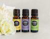 What Are The Top Essential Oils? + Free Download