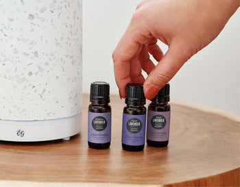 What is Lavender Essential Oil Used For? Is There a Difference Between Lavender Oils?