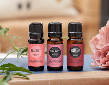 Rosemary 101 | Discover The Benefits of Rosemary Essential Oil