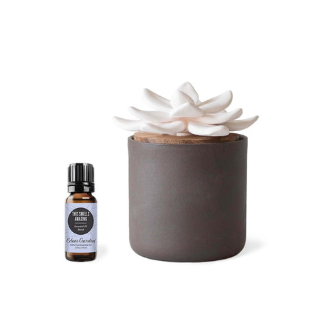 Affordable All-Natural Gifts For Essential Oil Lovers From Edens Garden -  THE BALLER ON A BUDGET - An Affordable Fashion, Beauty & Lifestyle Blog